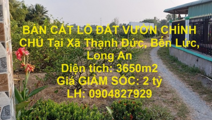 BÁN CẮT LỖ ĐẤT VƯỜN CHÍNH CHỦ Tại Xã Thạnh Đức, Bến Lức, Long An